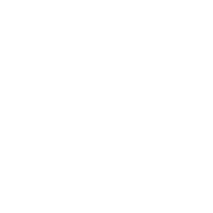 branchesofholland